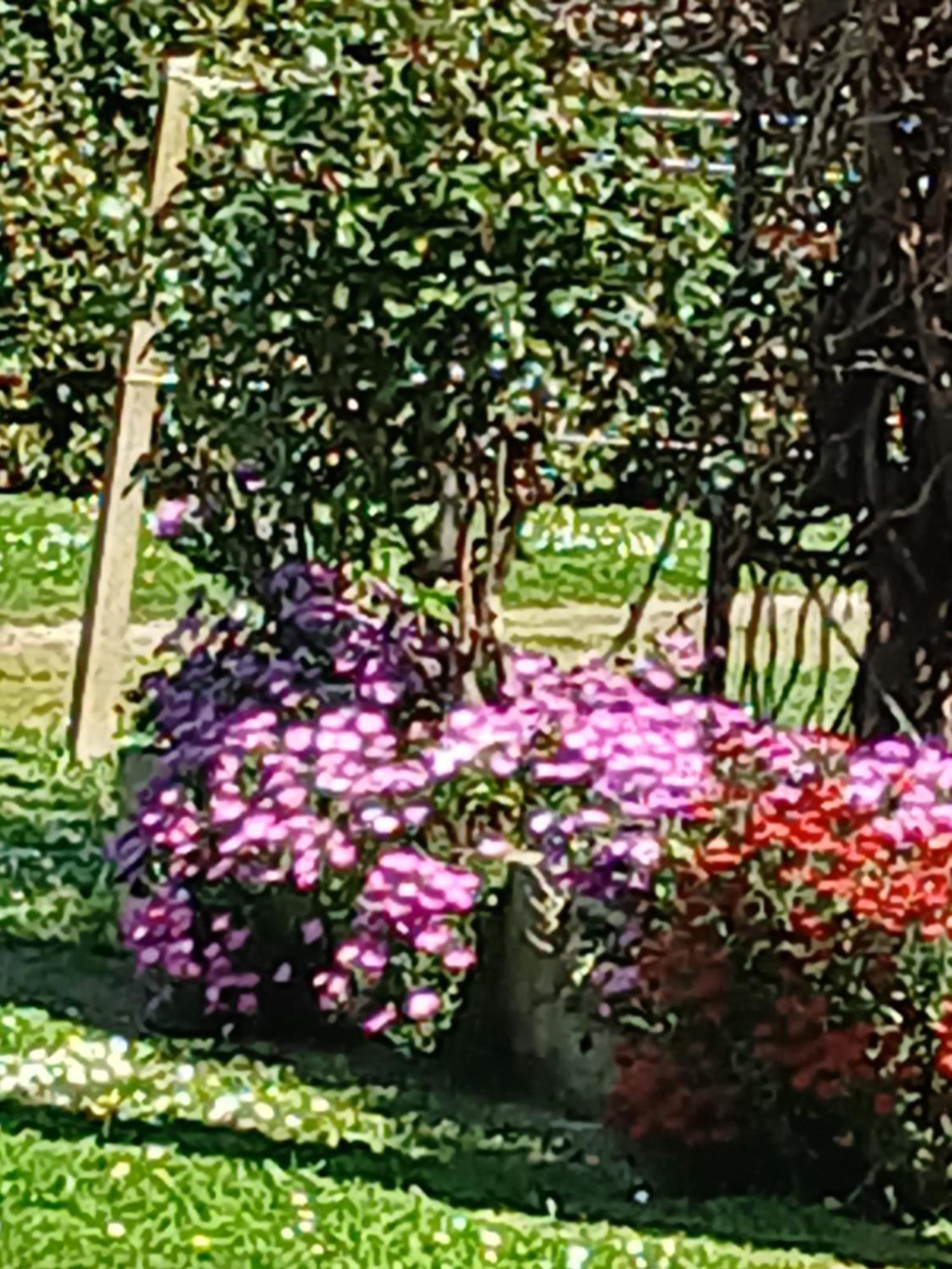 Azienda Il Tizzano